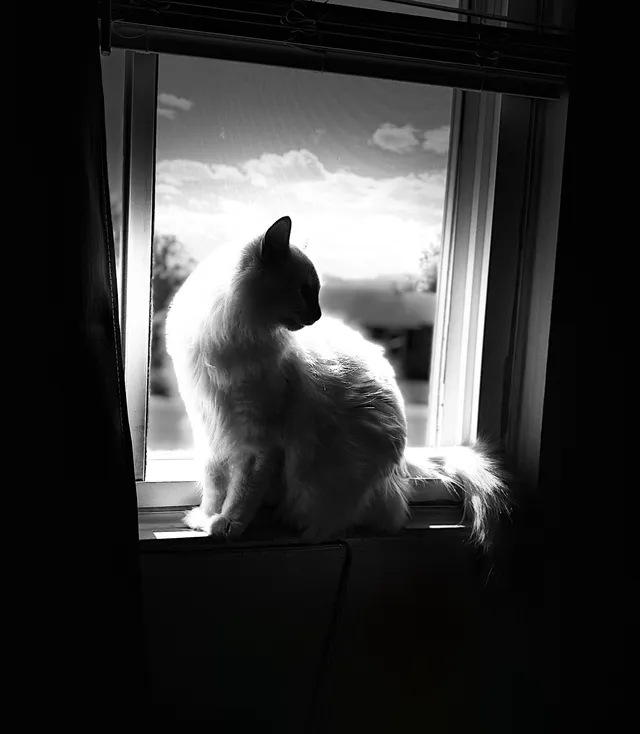 Window seat
